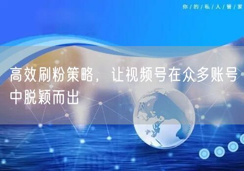 高效刷粉策略，让视频号在众多账号中脱颖而出